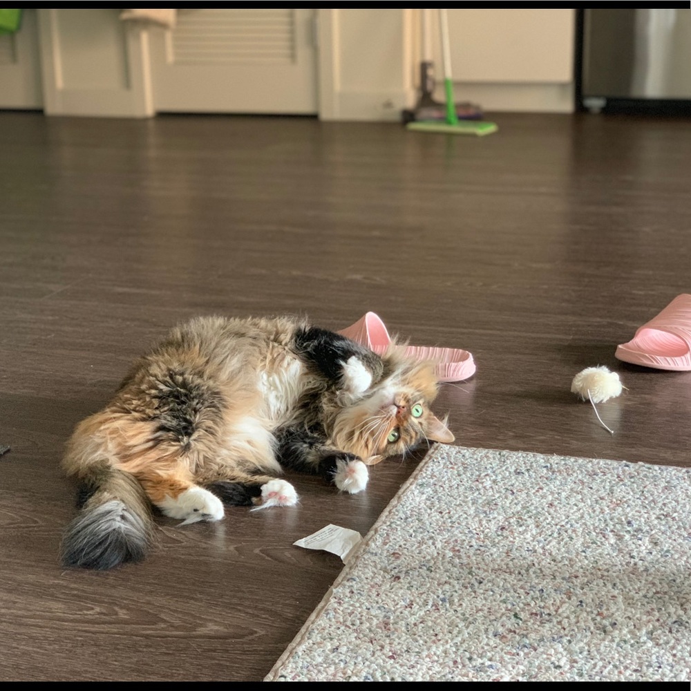 Meet your Posher, Jan